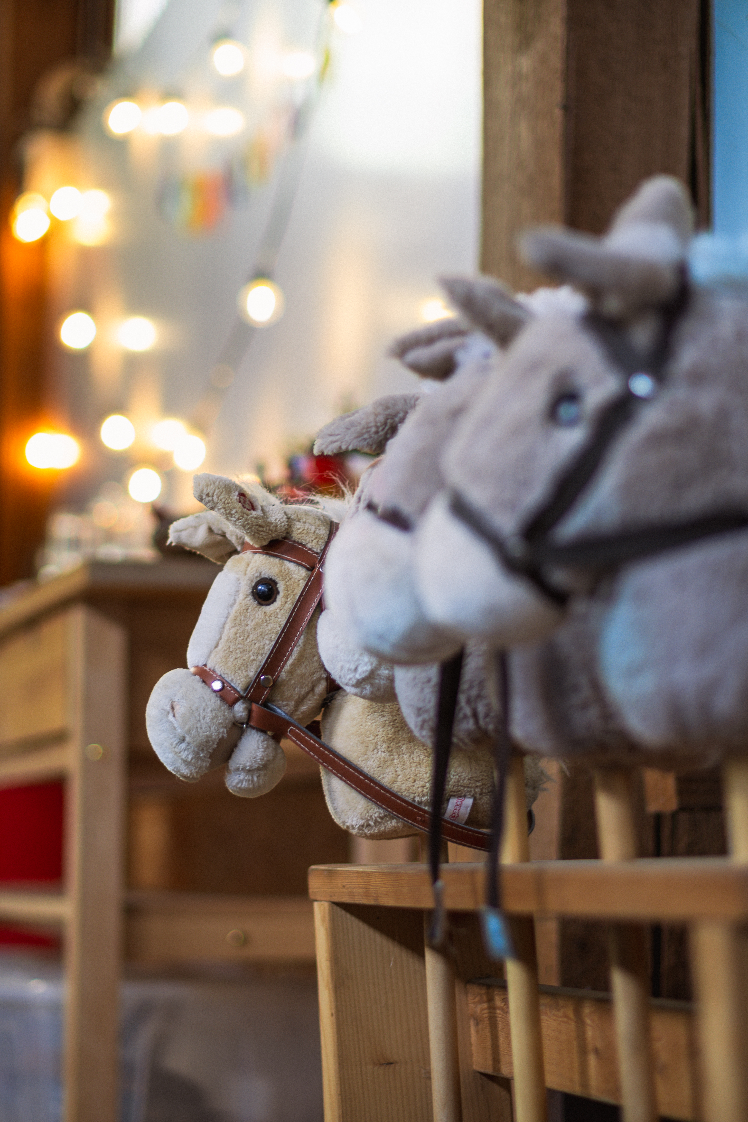 Erlebnishof-Nuernberg-Geburtstag